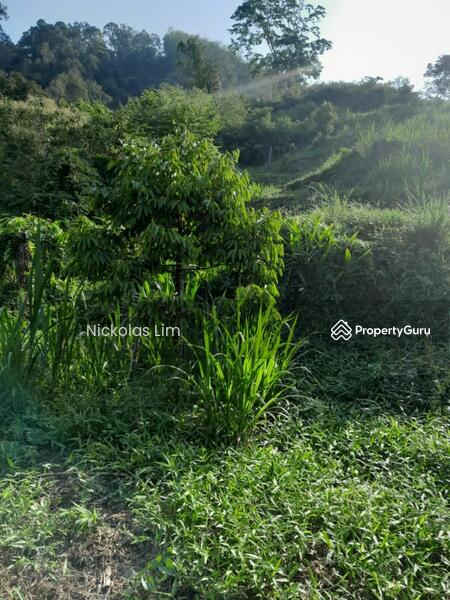 Residential Land for Sale in Teluk Kumbar (Penang) - Nickolas Lim - PropertyGuru.com.my