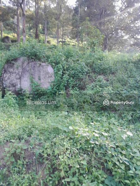 Residential Land for Sale in Teluk Kumbar (Penang) - Nickolas Lim - PropertyGuru.com.my