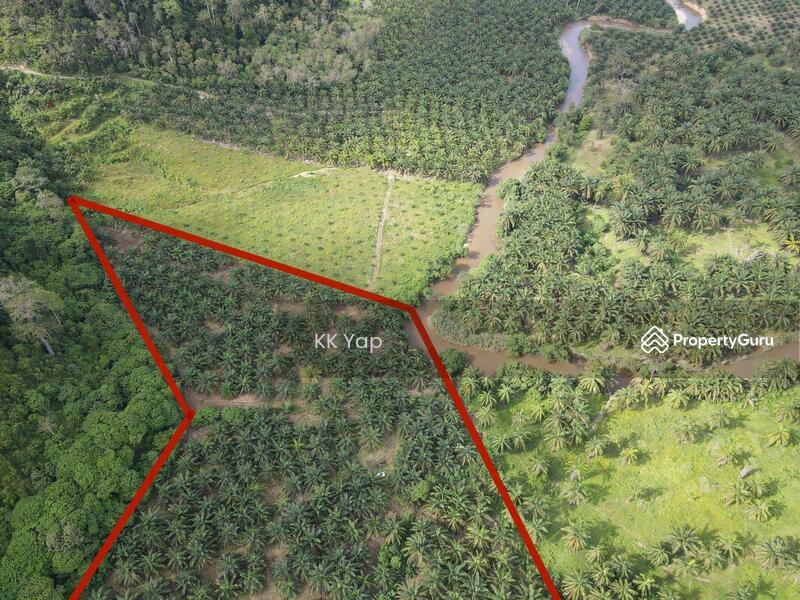 Untuk Dijual - Perak, Sg Siput 10ac Palm Oil Plantation