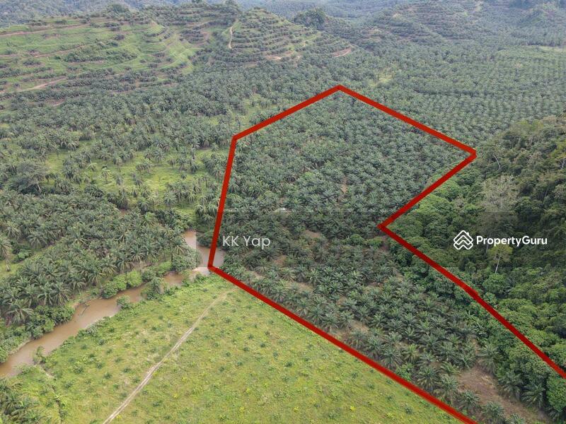 Untuk Dijual - Perak, Sg Siput 10ac Palm Oil Plantation