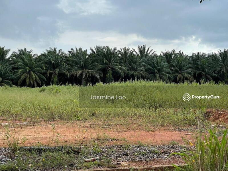 Tanah Perindustrian untuk Dijual di Pekan Jitra (Jitra) - Jasmine Loo - PropertyGuru.com.my