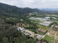 For Sale - 3.06 Acres Broga , Sak Da Tok Temple, Agriculture Land, Tar Road