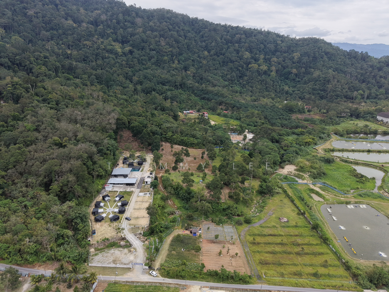 Tanah Pertanian untuk Dijual di Broga (Lenggeng) - Teammy Lee - PropertyGuru.com.my