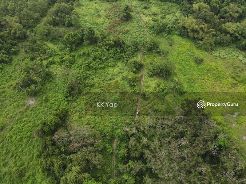 For Sale - 3 Acres Tanah Kosong Pertanian[500m from residential area] Untuk Dijual