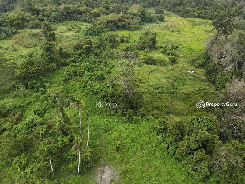 For Sale - 3 Acres Tanah Kosong Pertanian[500m from residential area] Untuk Dijual