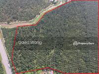 For Sale - Jalan Taiping-Bagan Serai