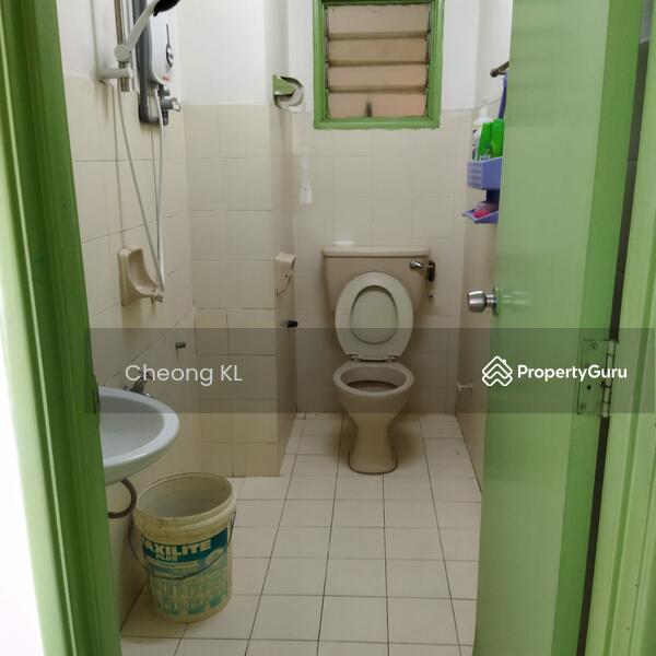 Untuk Disewa - Forest Green