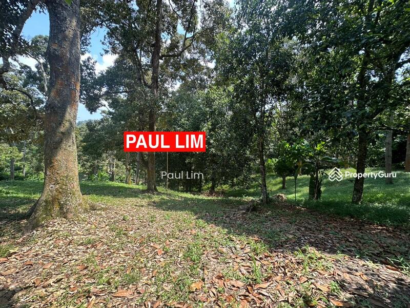 LAND SALE AT SUNGAI ARA 7.987 ACRE 200 DURIAN TREE RM50 PER SQFT VIEW TO OFFER SINCERITY OWNER untuk Untuk Dijual - RM 17,390,000, Mac 2026 - PropertyGuru.com.my