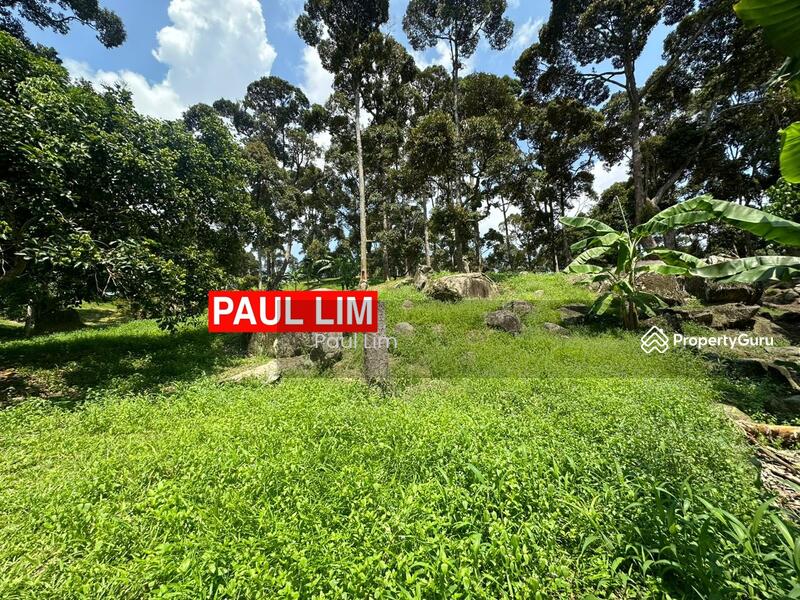 LAND SALE AT SUNGAI ARA 7.987 ACRE 200 DURIAN TREE RM50 PER SQFT VIEW TO OFFER SINCERITY OWNER untuk Untuk Dijual - RM 17,390,000, Mac 2026 - PropertyGuru.com.my