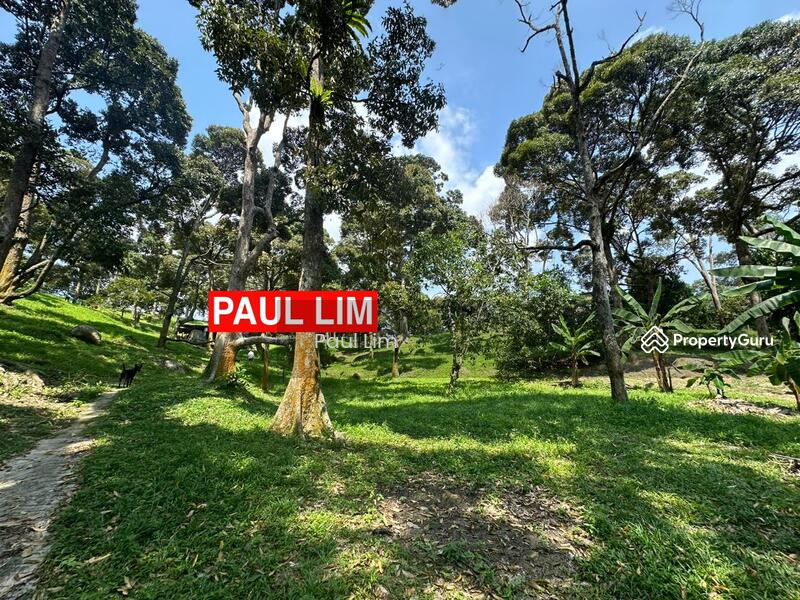 LAND SALE AT SUNGAI ARA 7.987 ACRE 200 DURIAN TREE RM50 PER SQFT VIEW TO OFFER SINCERITY OWNER untuk Untuk Dijual - RM 17,390,000, Mac 2026 - PropertyGuru.com.my