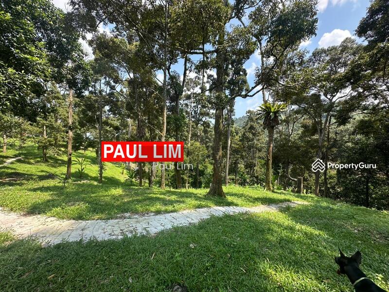 LAND SALE AT SUNGAI ARA 7.987 ACRE 200 DURIAN TREE RM50 PER SQFT VIEW TO OFFER SINCERITY OWNER untuk Untuk Dijual - RM 17,390,000, Mac 2026 - PropertyGuru.com.my