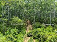 For Sale - Agriculture International Lot For Sale in Perlis