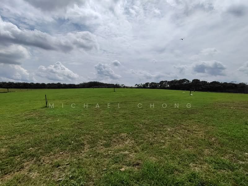 Industrial Land for Sale in Pekan Nenas (Jeram Batu) - Michael Chong - PropertyGuru.com.my