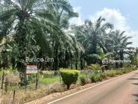For Sale - Agriculture land at Muar