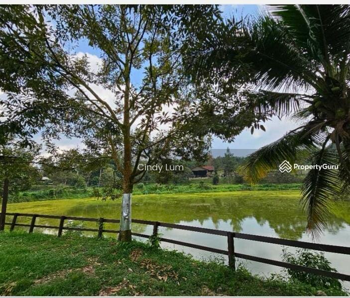Agricultural Land for Sale in Hulu Langat (Selangor) - Cindy Lum - PropertyGuru.com.my