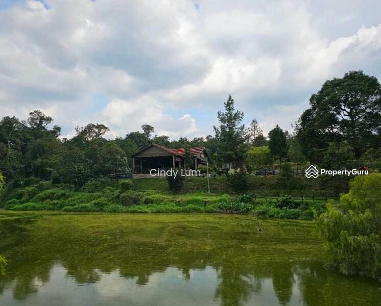 Agricultural Land for Sale in Hulu Langat (Selangor) - Cindy Lum - PropertyGuru.com.my