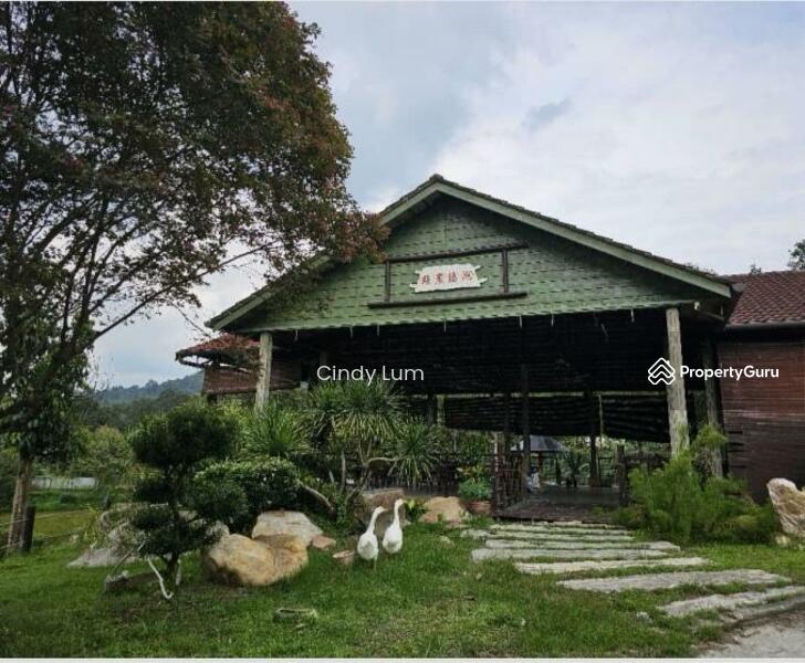 Agricultural Land for Sale in Hulu Langat (Selangor) - Cindy Lum - PropertyGuru.com.my