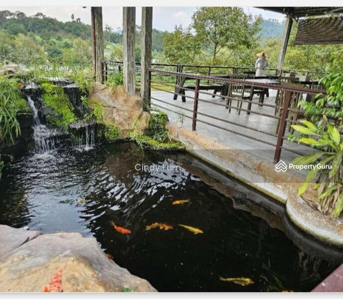 Agricultural Land for Sale in Hulu Langat (Selangor) - Cindy Lum - PropertyGuru.com.my