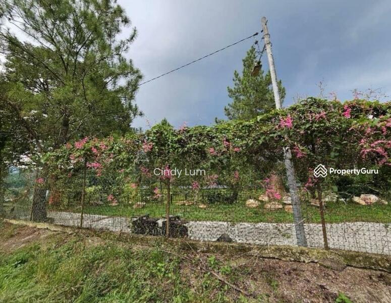 Agricultural Land for Sale in Hulu Langat (Selangor) - Cindy Lum - PropertyGuru.com.my