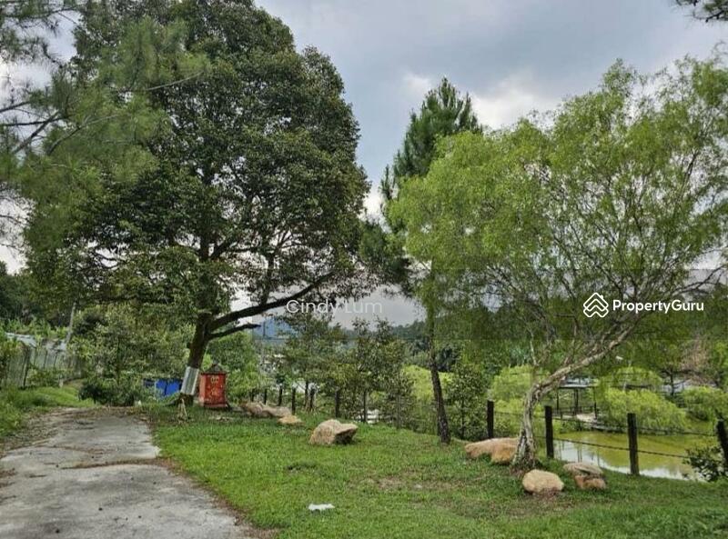 Agricultural Land for Sale in Hulu Langat (Selangor) - Cindy Lum - PropertyGuru.com.my