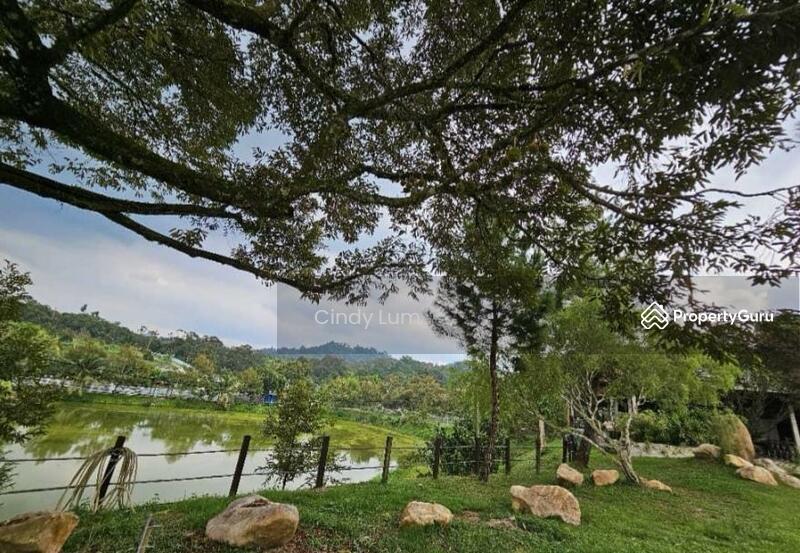 Agricultural Land for Sale in Hulu Langat (Selangor) - Cindy Lum - PropertyGuru.com.my