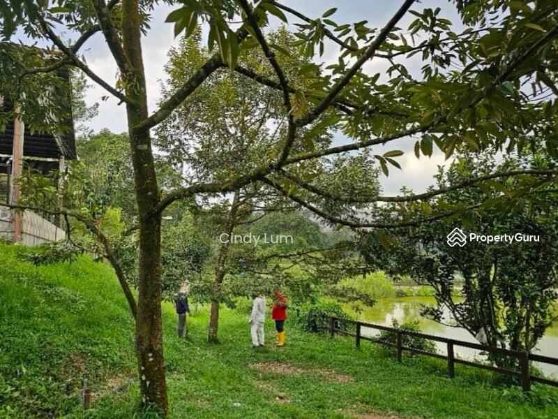 Agricultural Land for Sale in Hulu Langat (Selangor) - Cindy Lum - PropertyGuru.com.my