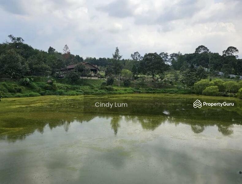 Agricultural Land for Sale in Hulu Langat (Selangor) - Cindy Lum - PropertyGuru.com.my