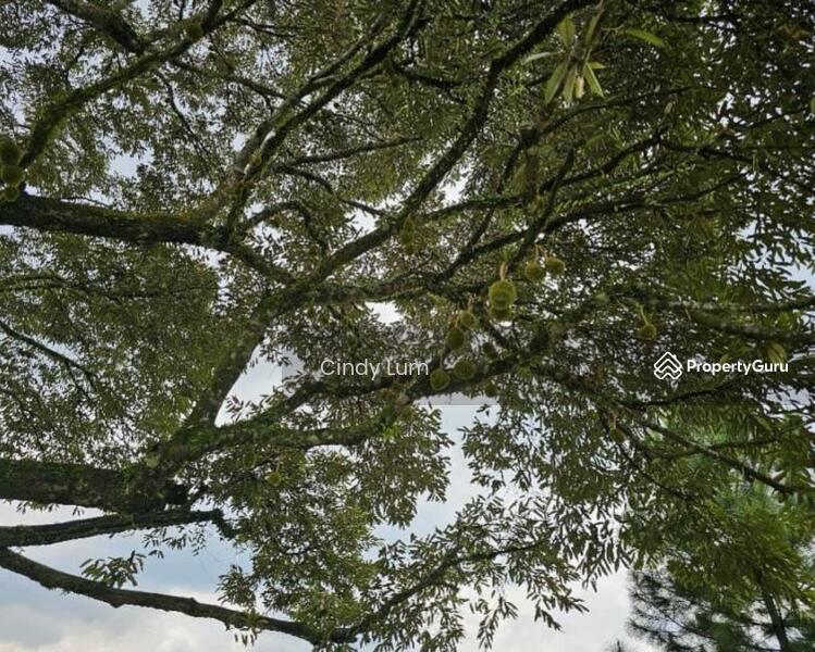 Agricultural Land for Sale in Hulu Langat (Selangor) - Cindy Lum - PropertyGuru.com.my