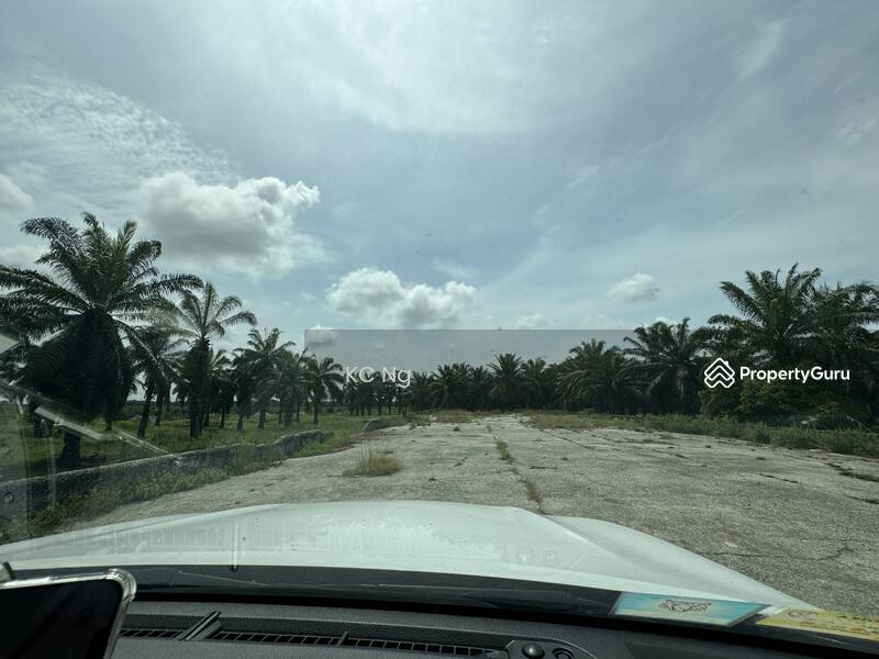 For Sale - Sitiawan, Lekir, Sri Manjung Palm Oil Plantation 170 Acres
