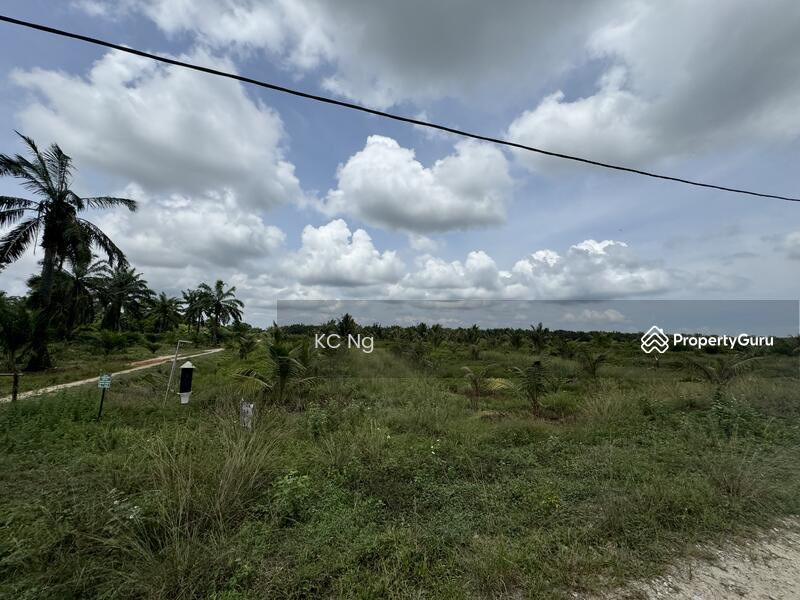 Untuk Dijual - Sitiawan, Lekir, Sri Manjung Palm Oil Plantation 170 Acres..