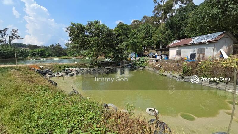 Agriculture land at Hulu Langat untuk Untuk Dijual - RM 1,450,000, Apr 2026 - PropertyGuru.com.my