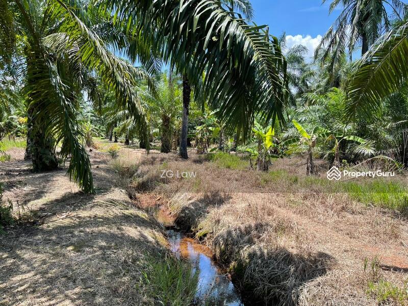 Agricultural Land for Sale in Batu Pahat (Johor) - ZG Law - PropertyGuru.com.my