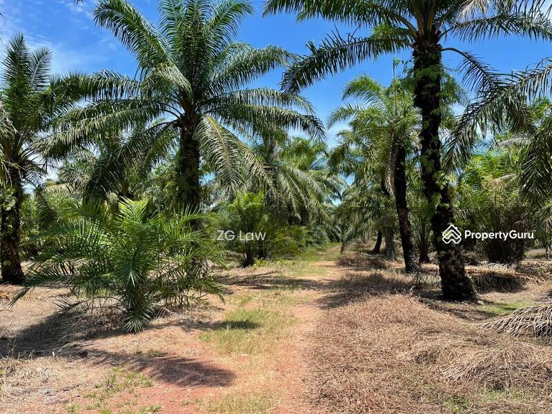 Agricultural Land for Sale in Batu Pahat (Johor) - ZG Law - PropertyGuru.com.my