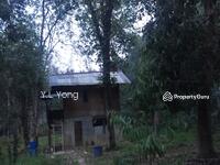 For Sale - Kuala Lipis, Pahang