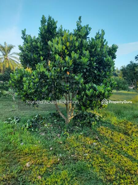 For Sale - Alor Gajah , Melaka
