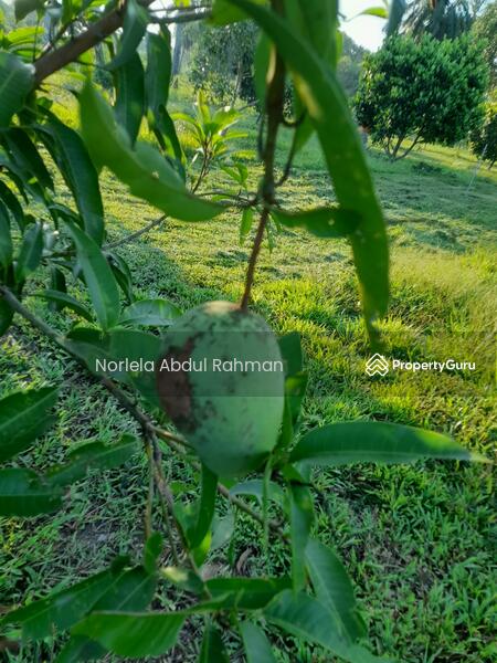 For Sale - Alor Gajah , Melaka