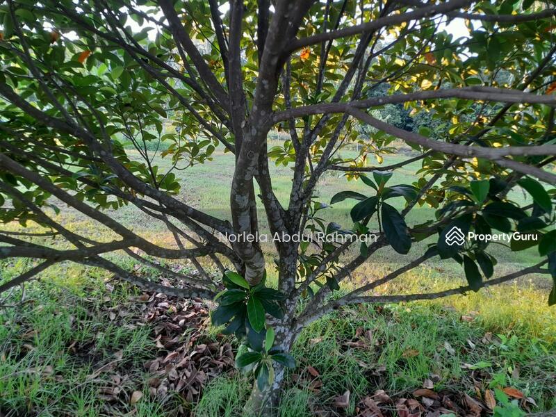 For Sale - Alor Gajah , Melaka