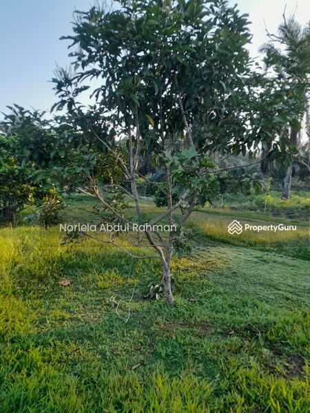For Sale - Alor Gajah , Melaka