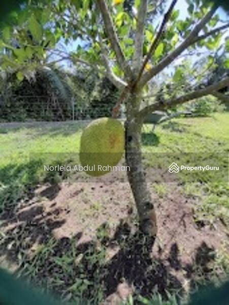 For Sale - Alor Gajah , Melaka