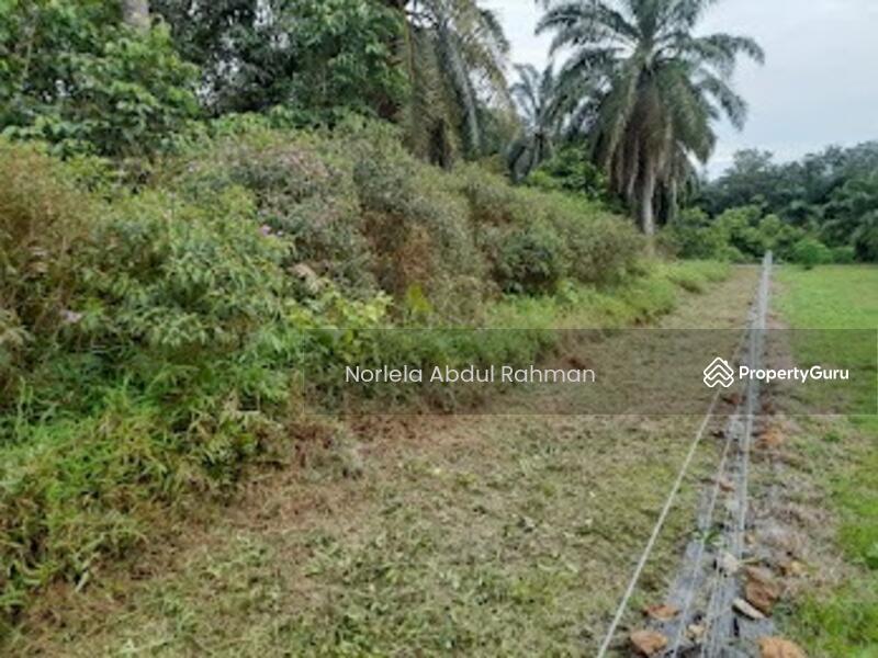 For Sale - Alor Gajah , Melaka