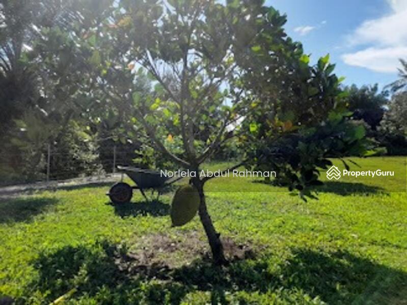 For Sale - Alor Gajah , Melaka