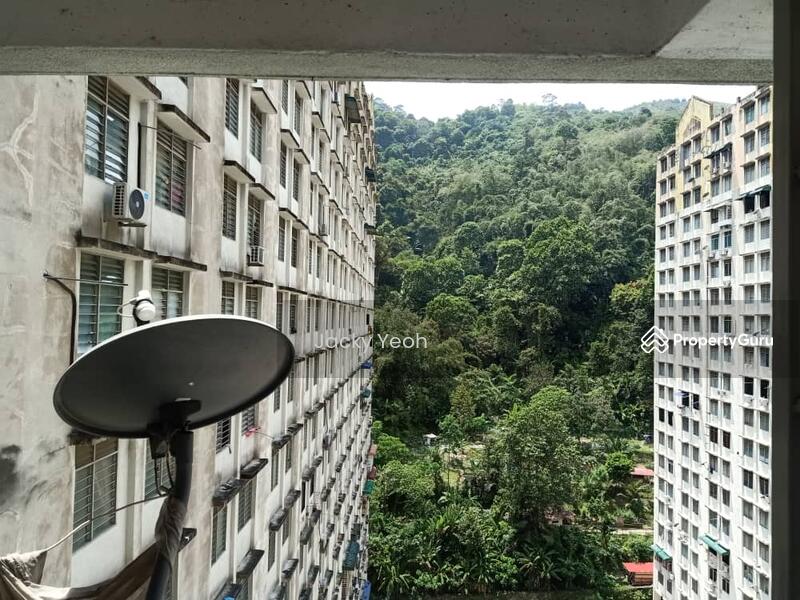 For Rent - Green Garden