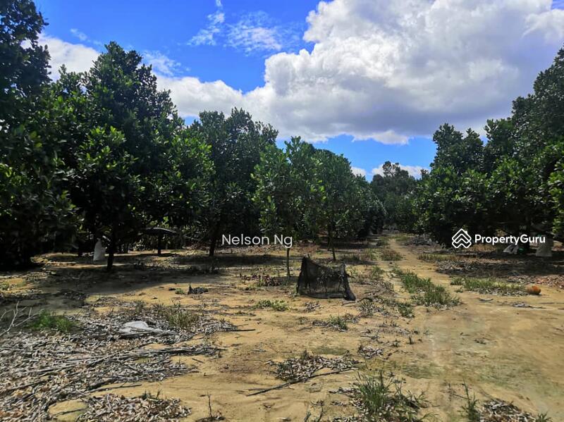 Mantin Negeri Sembilan Agricultural Land, Jalan mantin, Mantin