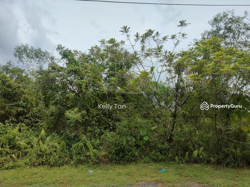 Tanah Kediaman untuk Dijual di Chemor (Perak) - Kelly Tan - PropertyGuru.com.my