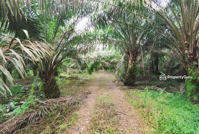 For Sale - Agricultural Land Taman Simpang Renggam