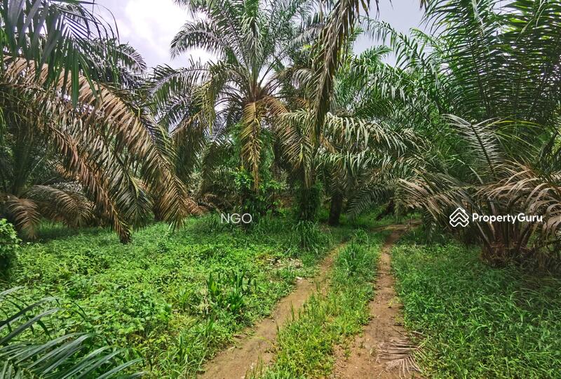 For Sale - Agricultural Land Taman Simpang Renggam