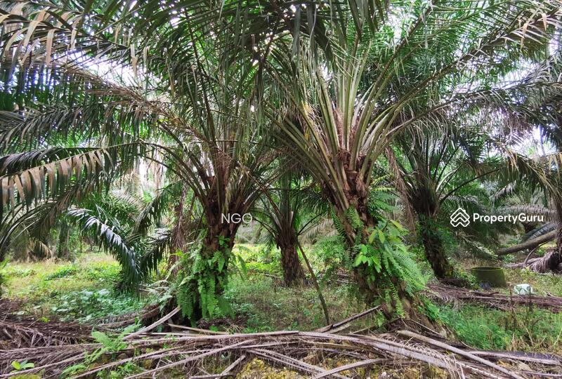 For Sale - Agricultural Land Taman Simpang Renggam