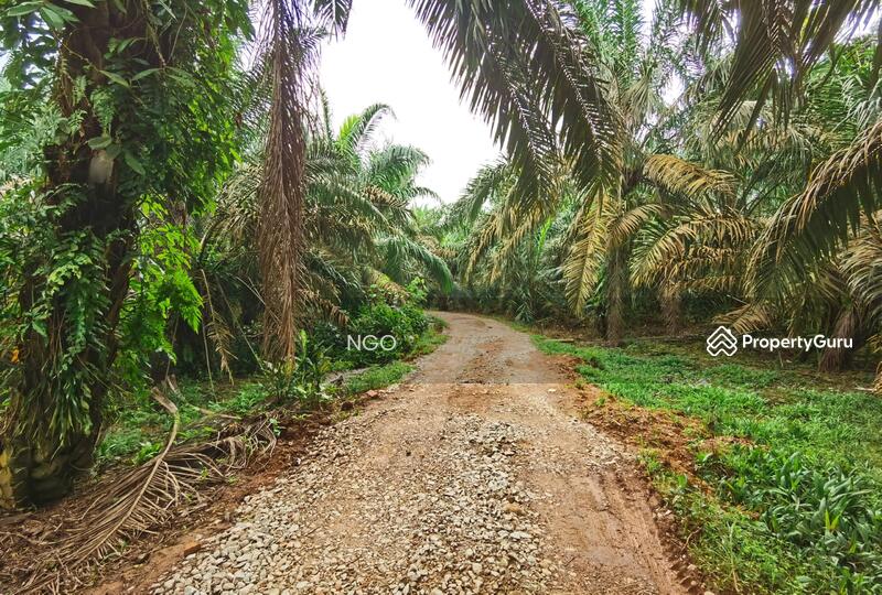 For Sale - Agricultural Land Taman Simpang Renggam