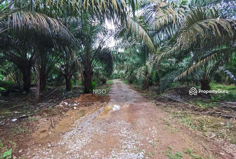 For Sale - Agricultural Land Taman Simpang Renggam