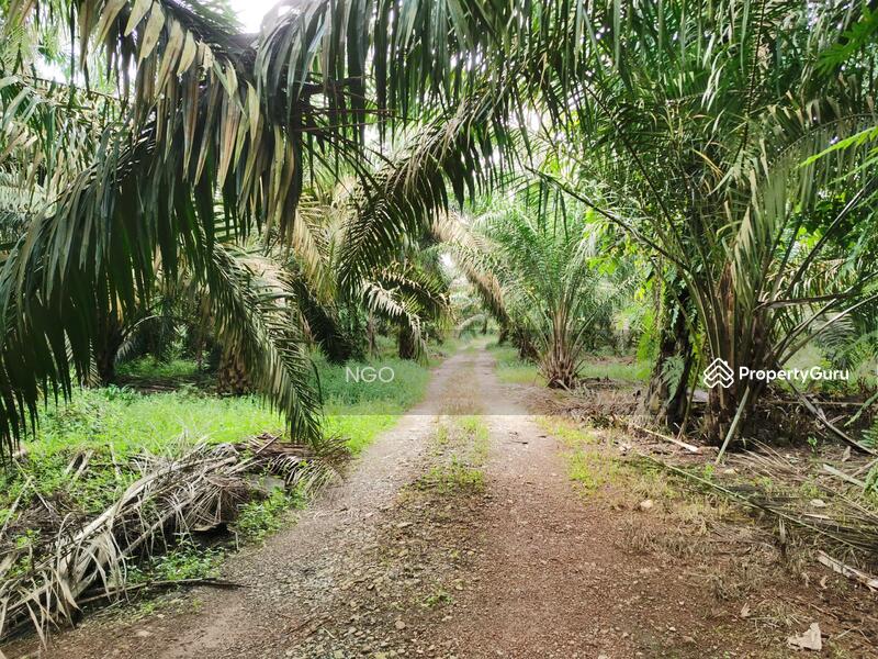 For Sale - Agricultural Land Taman Simpang Renggam